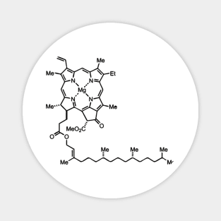 Chlorophyll Magnet